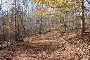 1662 Ralph Joyce Rd, Sandy Ridge, NC 27046 - Photo 31