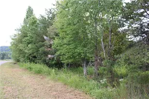 1662 Ralph Joyce Rd, Sandy Ridge, NC 27046 - Photo 27