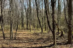 320 W King St, King, NC 27021 - Photo 17