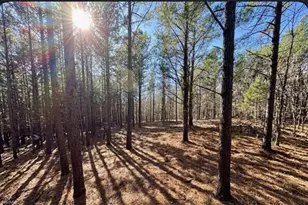 0 S Nc Hwy 86, Prospect Hill, NC 27314 - Photo 1