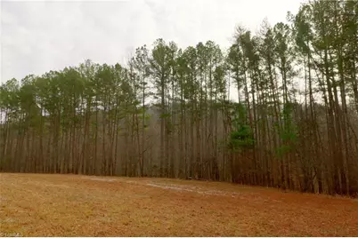 3351 Nc Highway 66 S, Westfield, NC 27053 - Photo 13