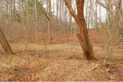 3351 Nc Highway 66 S, Westfield, NC 27053 - Photo 17