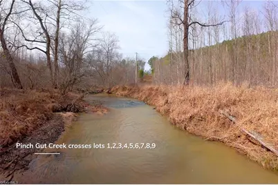 3351 Nc Highway 66 S, Westfield, NC 27053 - Photo 19