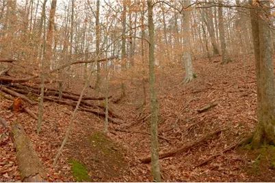 3362 Nc Highway 66 S, Westfield, NC 27053 - Photo 11