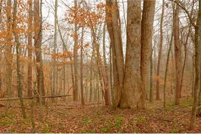 3362 Nc Highway 66 S, Westfield, NC 27053 - Photo 7