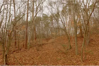 3361 Nc Highway 66 S, Westfield, NC 27053 - Photo 15