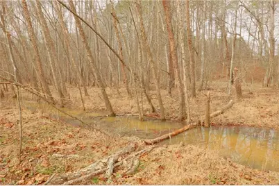 3361 Nc Highway 66 S, Westfield, NC 27053 - Photo 17