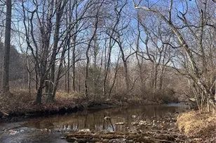 8000 Longbottom Rd, Hays, NC 28635 - Photo 1