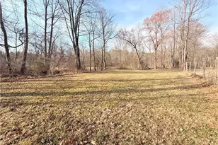 1259 Frank Joyce Rd, Sandy Ridge, NC 27046 - Photo 49