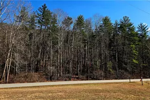 8043 N Old Nc Hwy 16, Millers Creek, NC 28651 - Photo 41