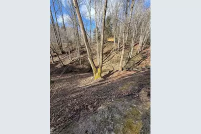 2378 Mount Zion Road, Ferguson, NC 28624 - Photo 3