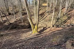 2378 Mt Zion Rd, Ferguson, NC 28624 - Photo 3