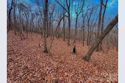 750 Palisade Trail, Denton, NC 27239 - Photo 11