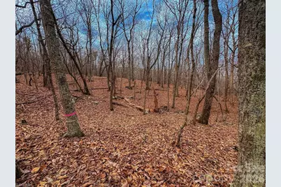 750 Palisade Trail, Denton, NC 27239 - Photo 15