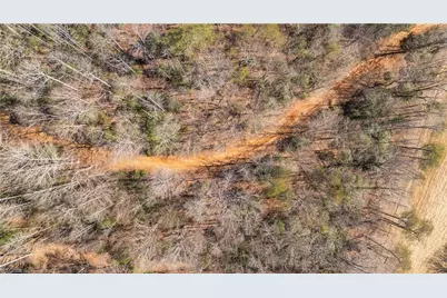 0 Nc Highway 89 W, Danbury, NC 27016 - Photo 13