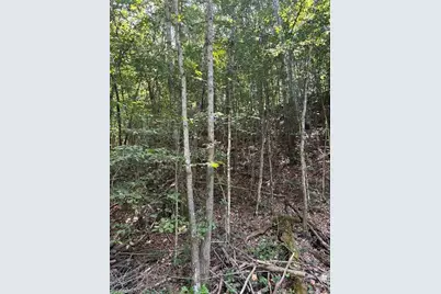 0 Rolling Hill Drive, Tobaccoville, NC 27050 - Photo 7