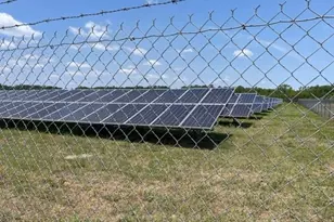 501 Harriett Ln, Pollocksville, NC 28573 - Photo 7