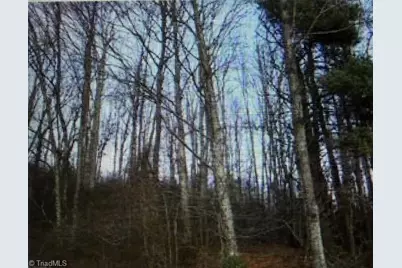 Tbd Tony Holder Road, Lowgap, NC 27024 - Photo 1