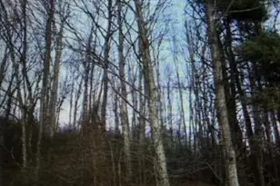 Tbd Tony Holder Rd, Lowgap, NC 27024 - Photo 1