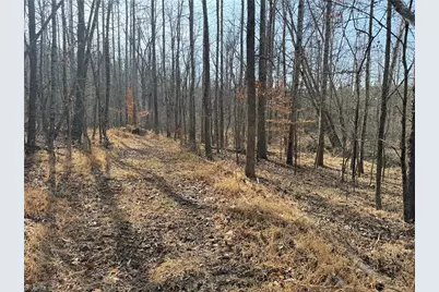 1200 Purcell Road, Reidsville, NC 27320 - Photo 37