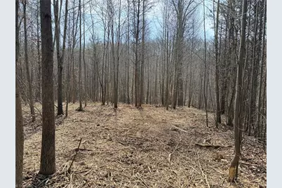 1200 Purcell Road, Reidsville, NC 27320 - Photo 3