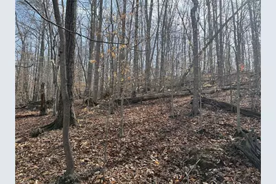 1200 Purcell Road, Reidsville, NC 27320 - Photo 43