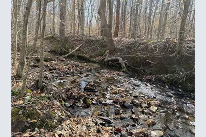 1200 Purcell Road, Reidsville, NC 27320 - Photo 49