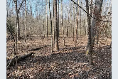 1200 Purcell Road, Reidsville, NC 27320 - Photo 33