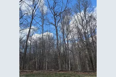 103 Chimney Court, Jamestown, NC 27282 - Photo 1