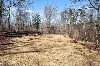 9770 Baux Mountain Road, Germanton, NC 27019 - Photo 5