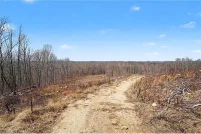 0 Holder Inman Road, Randleman, NC 27317 - Photo 5