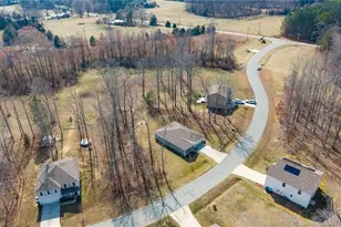 6008 Ferguson Crk Dr, Liberty, NC 27298 - Photo 33