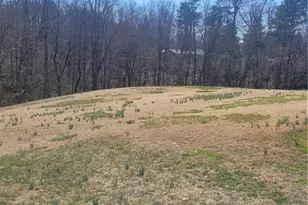 250 Hilltop Acres St, North Wilkesboro, NC 28659 - Photo 37
