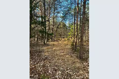 11.05 Acres Elmore Road, Leasburg, NC 27291 - Photo 5