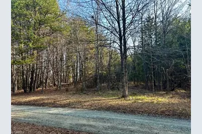 11.05 Acres Elmore Road, Leasburg, NC 27291 - Photo 3