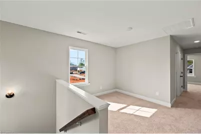 1913 Wild Rosewood Way, Winston-Salem, NC 27103 - Photo 19