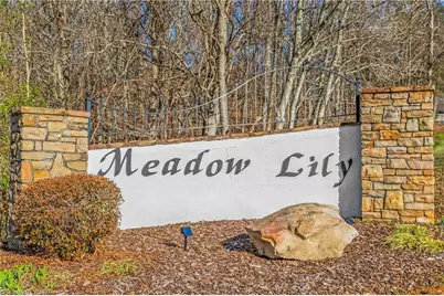 646 Terrace Drive, Lexington, NC 27295 - Photo 47