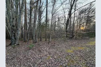 1202 Farm Road, Pilot Mountain, NC 27041 - Photo 31