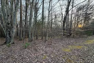 1202 Farm Rd, Pilot Mountain, NC 27041 - Photo 31