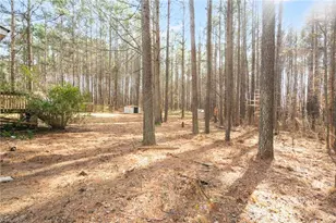 131 Altavista Ct, Clayton, NC 27520 - Photo 23