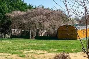 1114 Holly Springs Rd, Mount Airy, NC 27030 - Photo 7