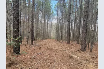 Lot 8 Thompson Road, Seagrove, NC 27341 - Photo 17