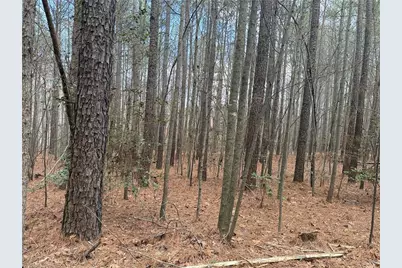 Lot 8 Thompson Road, Seagrove, NC 27341 - Photo 21