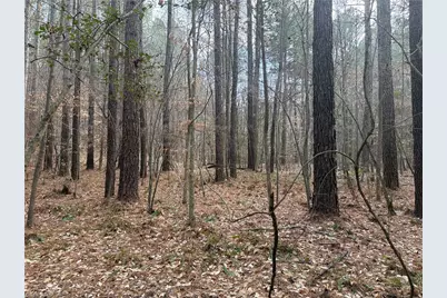 Lot 8 Thompson Road, Seagrove, NC 27341 - Photo 13