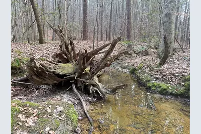 Lot 8 Thompson Road, Seagrove, NC 27341 - Photo 3