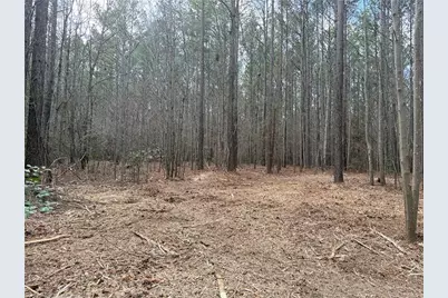 Lot 8 Thompson Road, Seagrove, NC 27341 - Photo 23