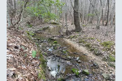 Lot 8 Thompson Road, Seagrove, NC 27341 - Photo 5