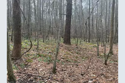 Lot 8 Thompson Road, Seagrove, NC 27341 - Photo 9