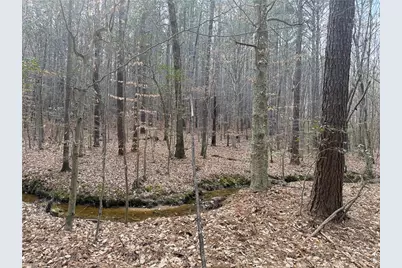 Lot 8 Thompson Road, Seagrove, NC 27341 - Photo 15