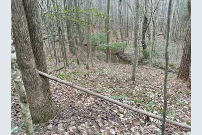 Lot 8 Thompson Road, Seagrove, NC 27341 - Photo 7